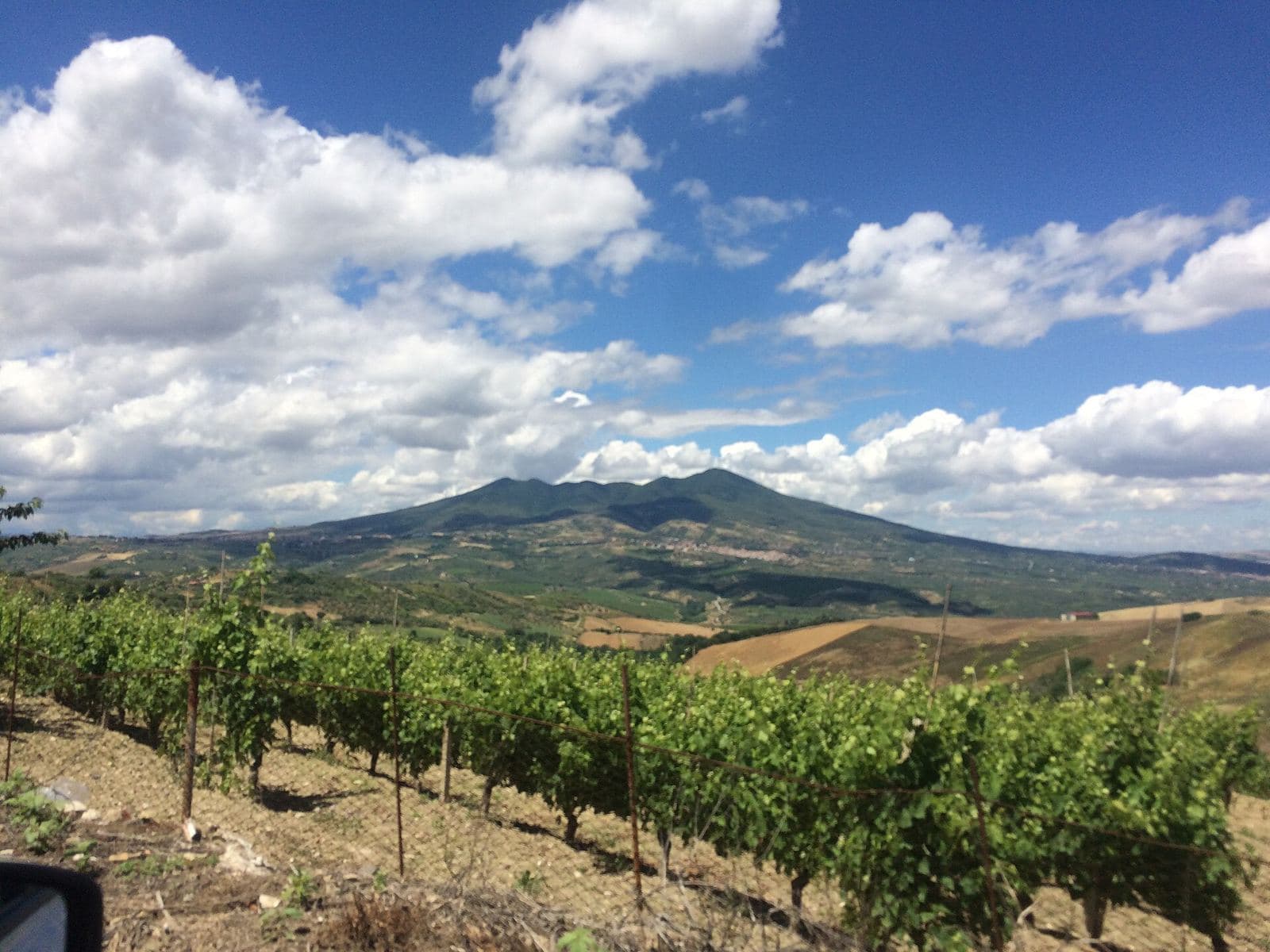 An Aglianico del Vulture vineyard below Monte Vulture