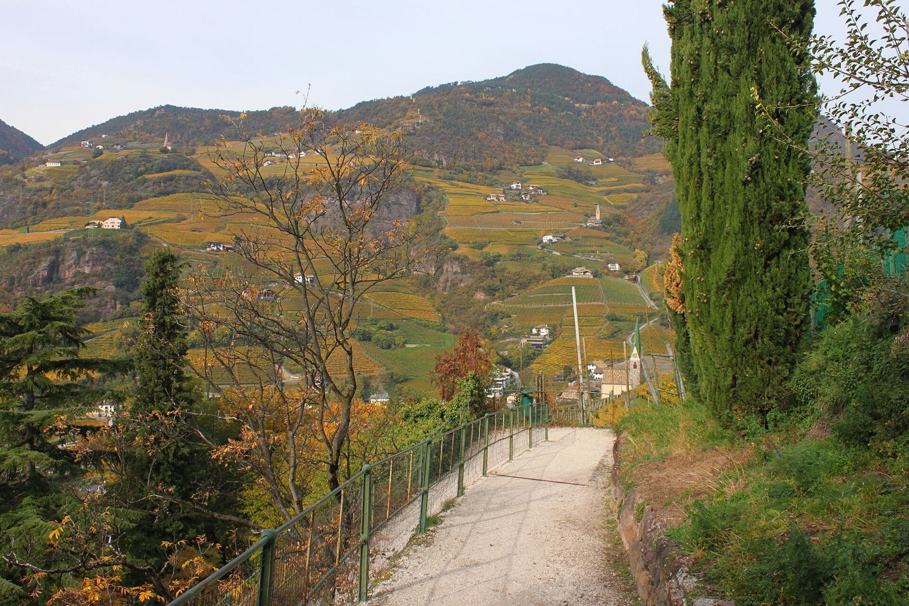 The Oswald promenade above Bolzano, through the Santa Maddalena vineyards
