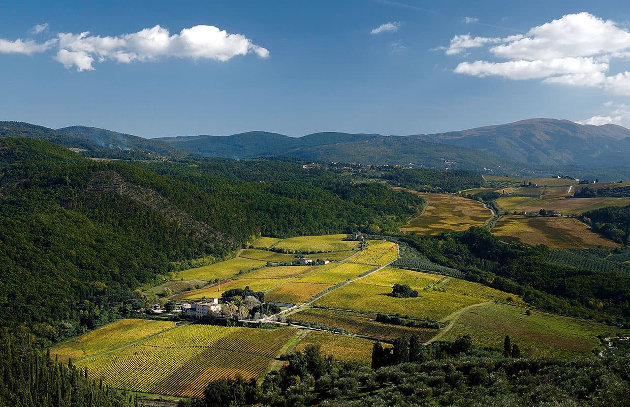 Fattoria Selvapiana, Rufina