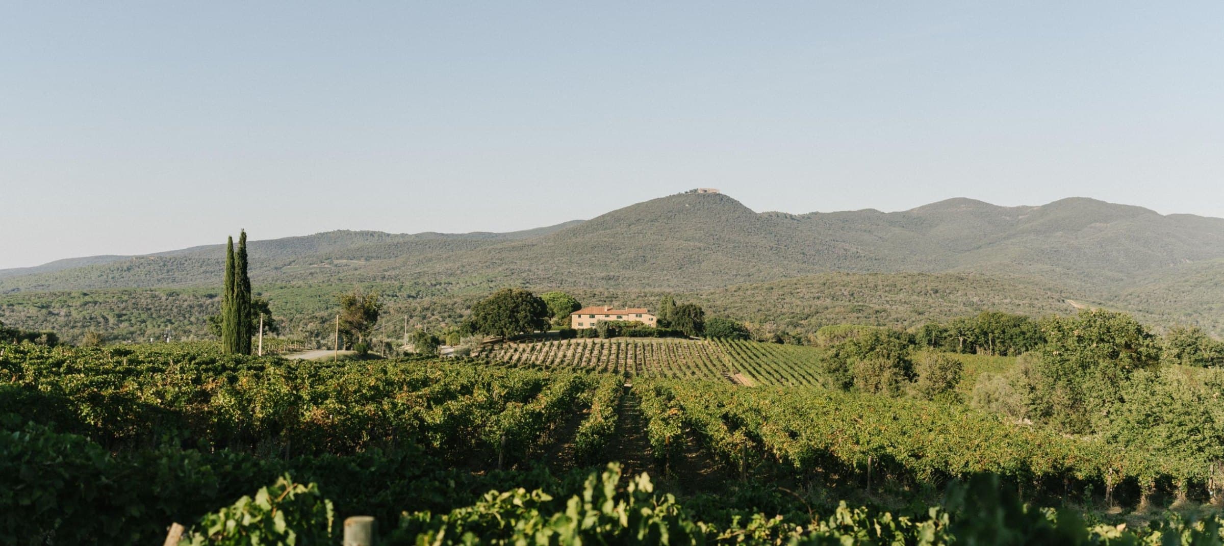 Grattamacco, Castagneto Carducci