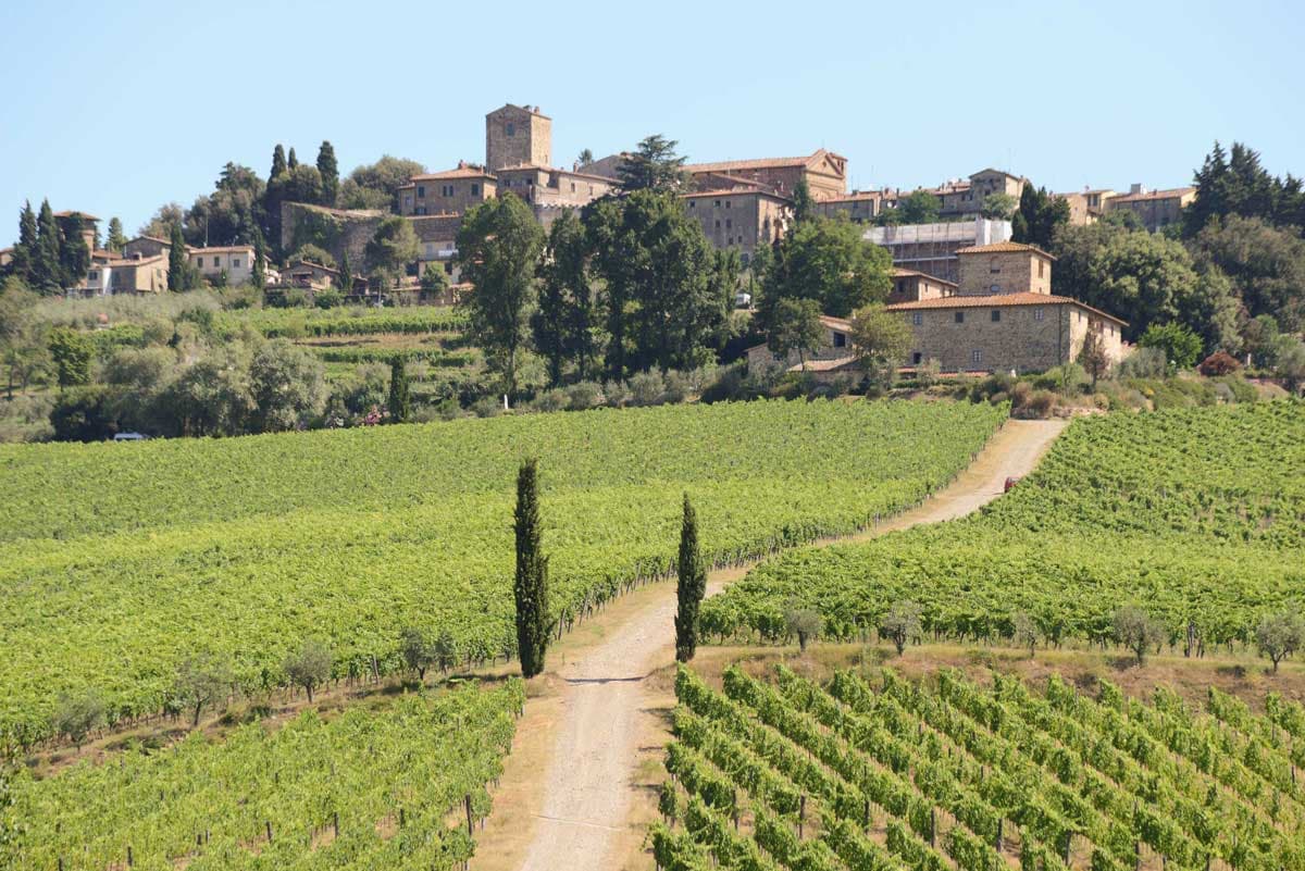 Fontodi, Panzano in Chianti (Greve in Chianti)