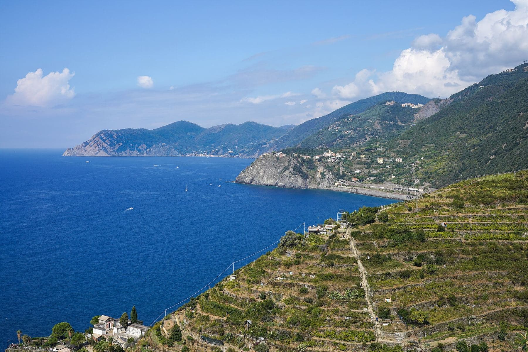 Terraces above Manarola, looking along the Cinque Terre coast