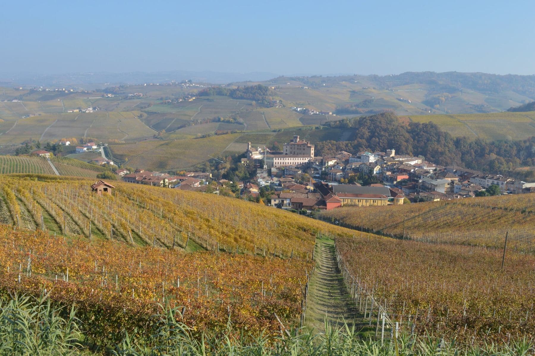 Barolo and the Langhe vineyards around it